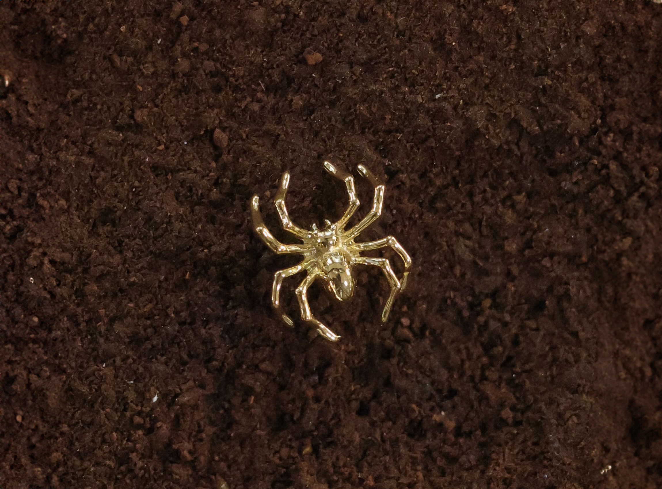 Piercing Araignée – Image 2