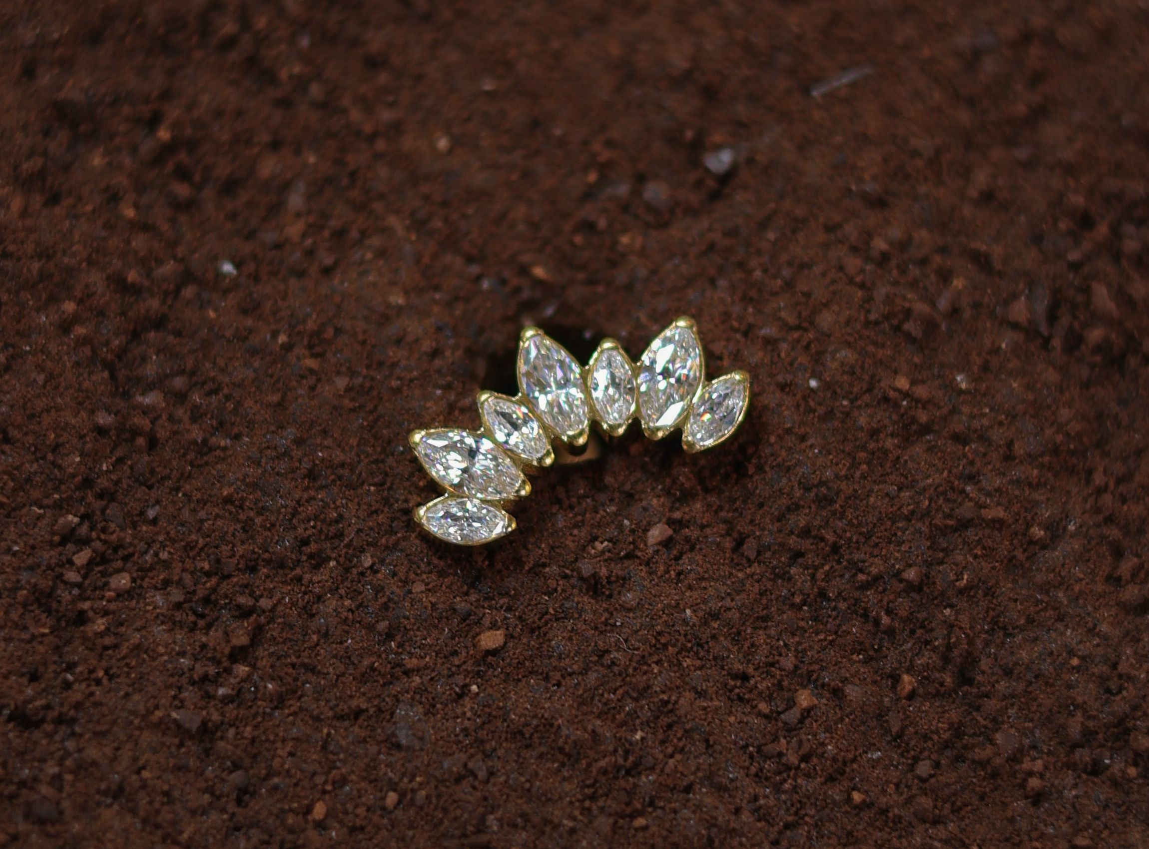 Marquise Multi