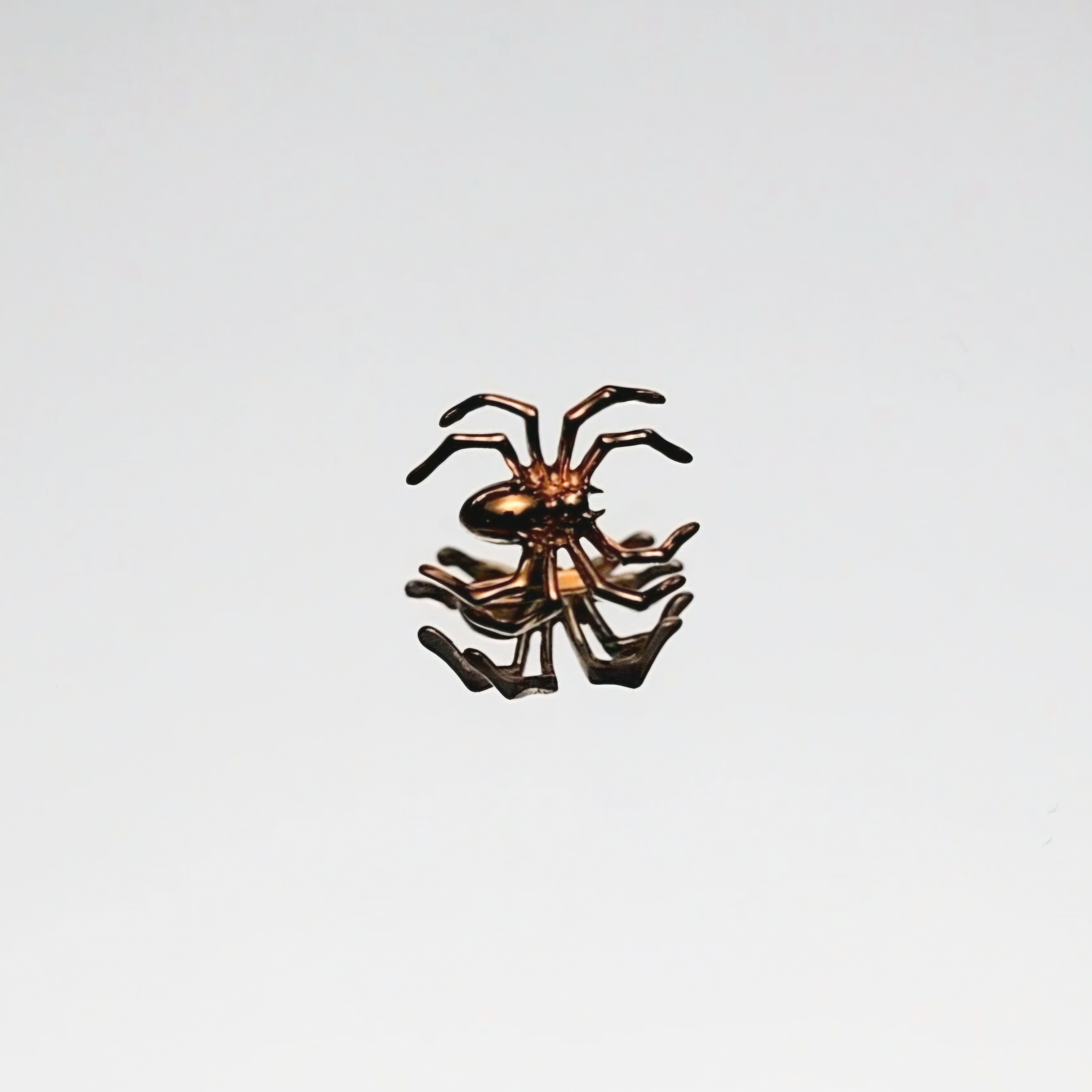 Piercing Araignée