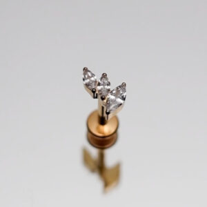 Piercing cascade de griffes