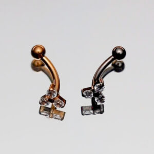 Piercing rook trinité
