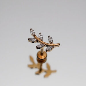 Piercing olivier