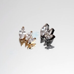 Piercing Triple griffes