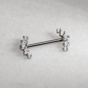 Bijou téton double rangé